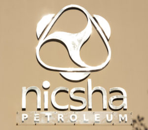 Nicsha-what-we-do